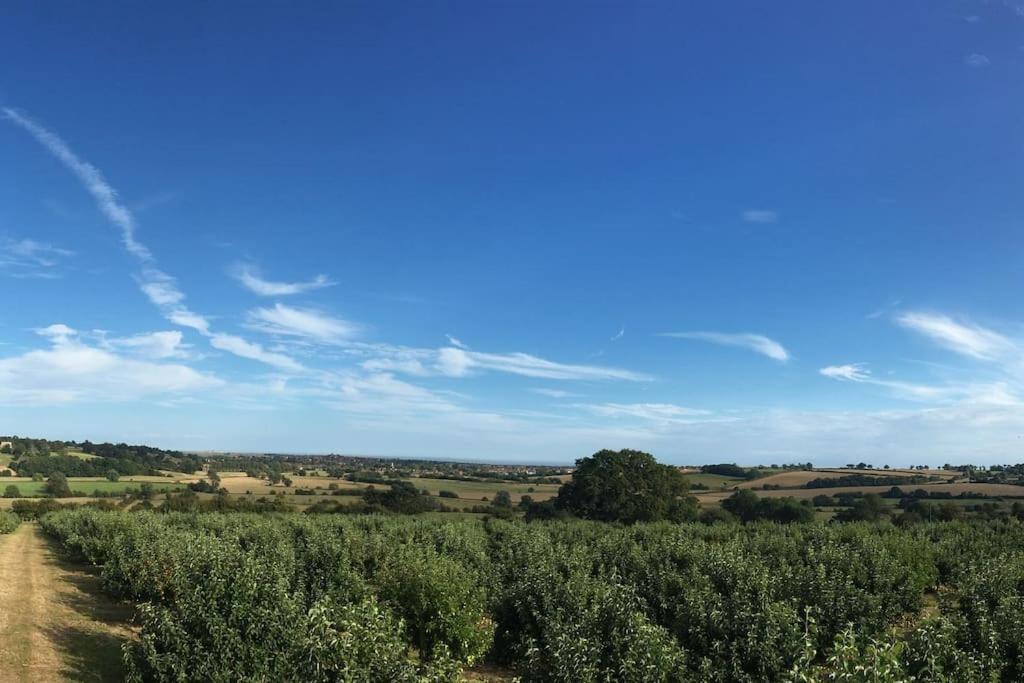 Apartment The Cart Loft - Private On Farm In Rye Peasmarsh